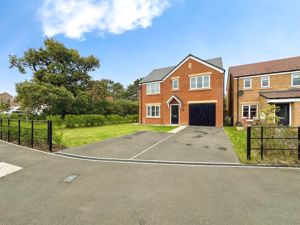 Photo 11- click for photo gallery